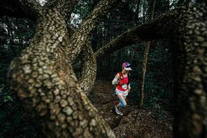 BIB: 
                            <button type="button" onclick="openModal(25700128)" class="btn btn-primary btn-sm float-right btn-popup" data-toggle="modal" data-target=".modal-high-quality">
                        <i class="fas fa-shopping-cart"></i> Add to Cart
                    </button>
                                            <button type="button" onclick="isThisMe(25700128, true)" class="btn btn-success btn-sm float-right btn-popup btn-isme hidden" data-toggle="tooltip" data-placement="bottom" title="นี่คือรูปของคุณใช่ไหม คลิกที่นี่เพื่อเอาเข้าอัลบั้ม">
                        <i class="fas fa-plus"></i> Add to album
                    </button>
                    <button type="button" onclick="isThisMe(25700128, false)" class="btn btn-warning btn-sm float-right btn-popup btn-isnotme hidden">
                        <i class="fas fa-ban"></i> Remove from album
                    </button>